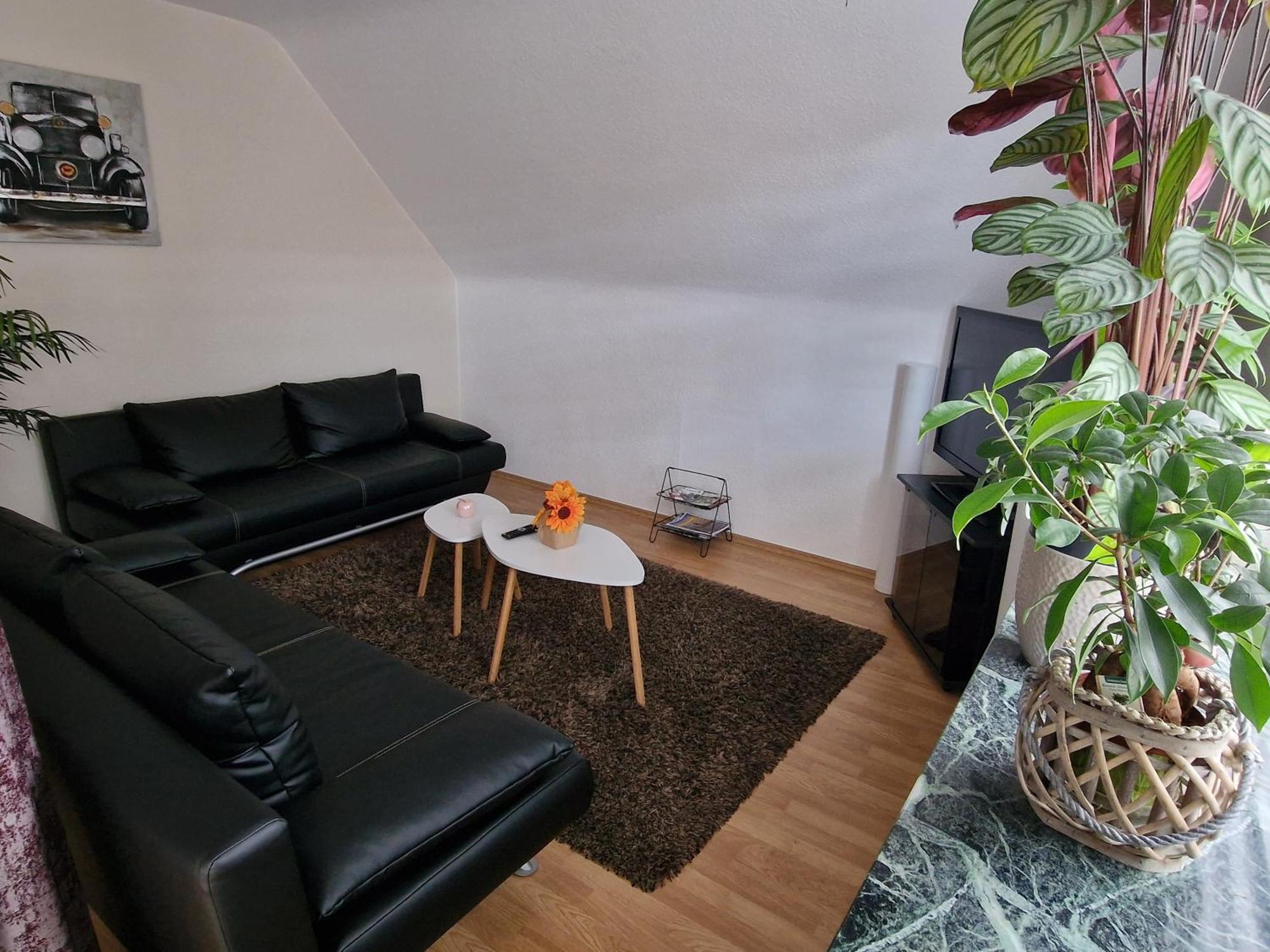 Zimmervermietungen Jachna Haselünne Extérieur photo